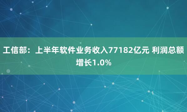 工信部：上半年软件业务收入77182亿元 利润总额增长1.0%