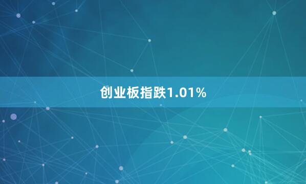 创业板指跌1.01%