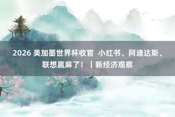 2026 美加墨世界杯收官  小红书、阿迪达斯、联想赢麻了！｜新经济观察