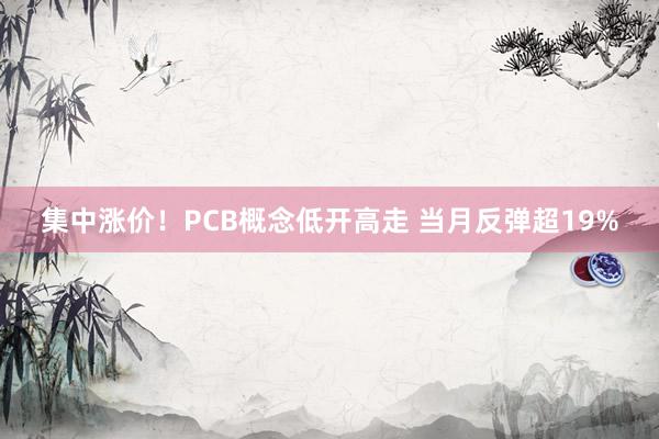 集中涨价！PCB概念低开高走 当月反弹超19%