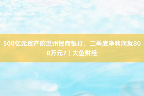 500亿元资产的温州民商银行，二季度净利润就800万元？| 大鱼财经