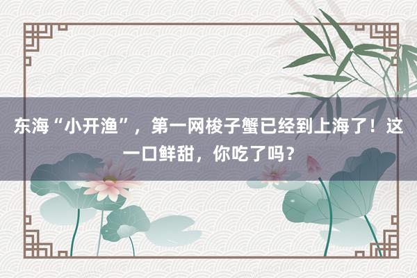 东海“小开渔”，第一网梭子蟹已经到上海了！这一口鲜甜，你吃了吗？
