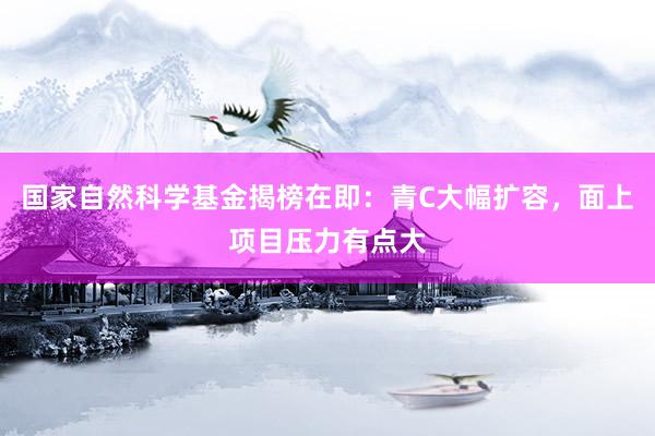 国家自然科学基金揭榜在即：青C大幅扩容，面上项目压力有点大