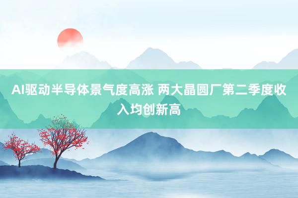 AI驱动半导体景气度高涨 两大晶圆厂第二季度收入均创新高