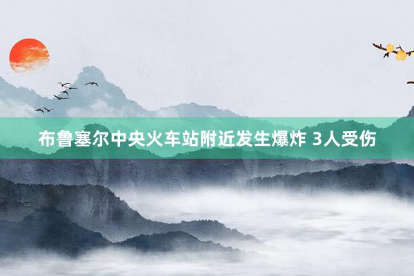 布鲁塞尔中央火车站附近发生爆炸 3人受伤