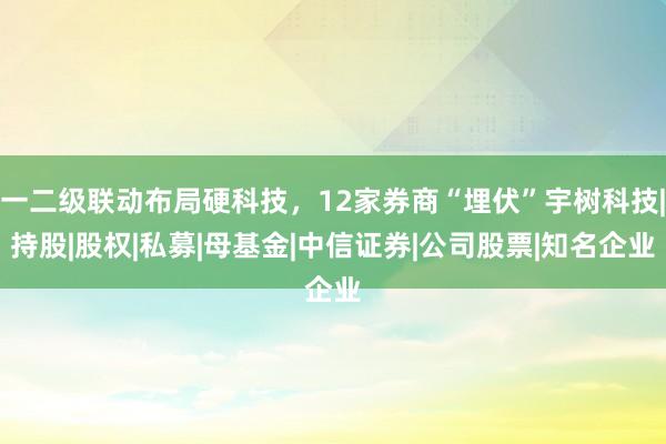 一二级联动布局硬科技，12家券商“埋伏”宇树科技|持股|股权|私募|母基金|中信证券|公司股票|知名企业