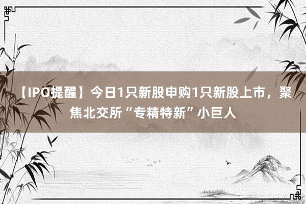 【IPO提醒】今日1只新股申购1只新股上市，聚焦北交所“专精特新”小巨人