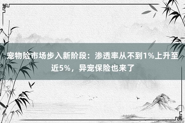 宠物险市场步入新阶段：渗透率从不到1%上升至近5%，异宠保险也来了