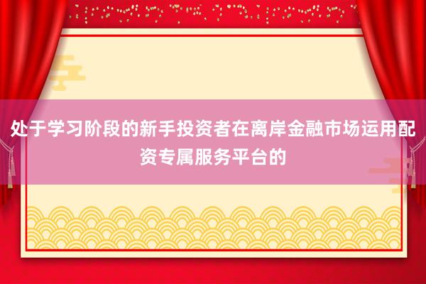 处于学习阶段的新手投资者在离岸金融市场运用配资专属服务平台的