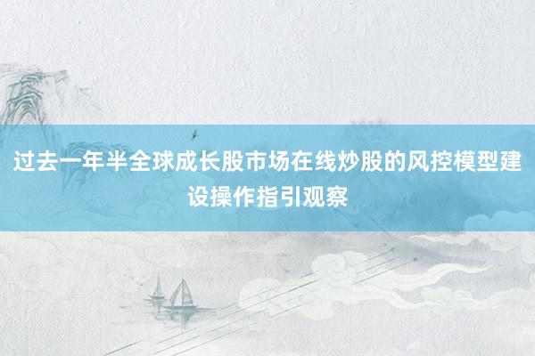 过去一年半全球成长股市场在线炒股的风控模型建设操作指引观察