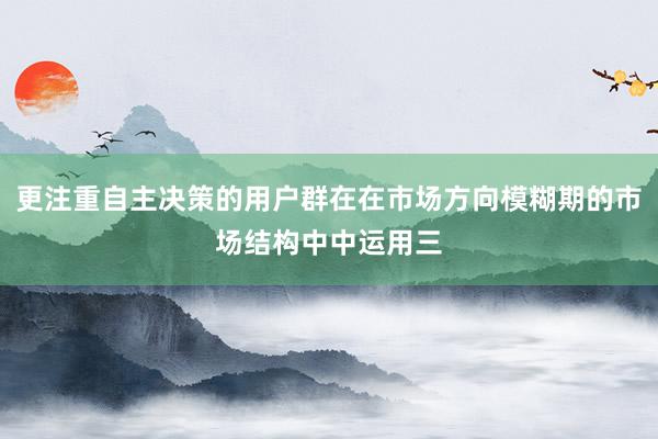 更注重自主决策的用户群在在市场方向模糊期的市场结构中中运用三
