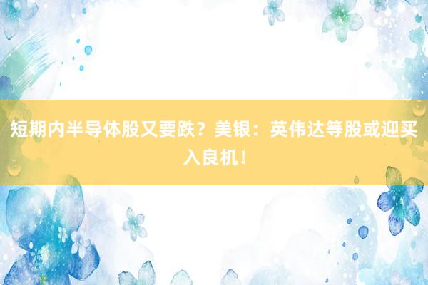 短期内半导体股又要跌？美银：英伟达等股或迎买入良机！