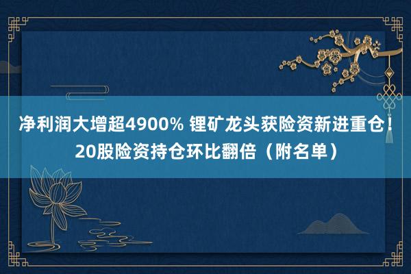 净利润大增超4900% 锂矿龙头获险资新进重仓!20股险资持仓环比翻倍(附名单)