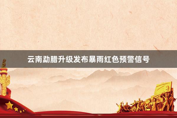 云南勐腊升级发布暴雨红色预警信号