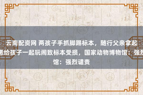 云南配资网 两孩子手抓脚踢标本，随行父亲拿起标本递给孩子一起玩闹致标本受损，国家动物博物馆：强烈谴责