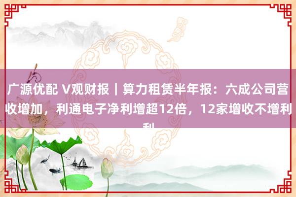 广源优配 V观财报｜算力租赁半年报：六成公司营收增加，利通电子净利增超12倍，12家增收不增利
