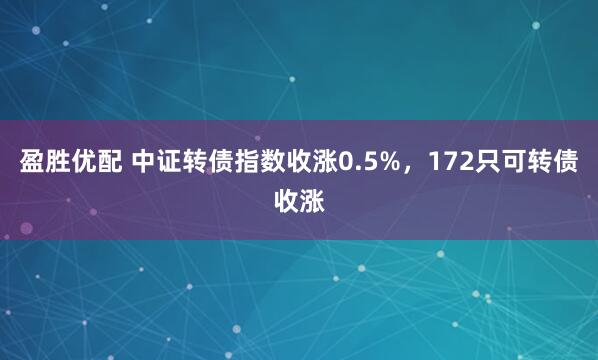 盈胜优配 中证转债指数收涨0.5%，172只可转债收涨