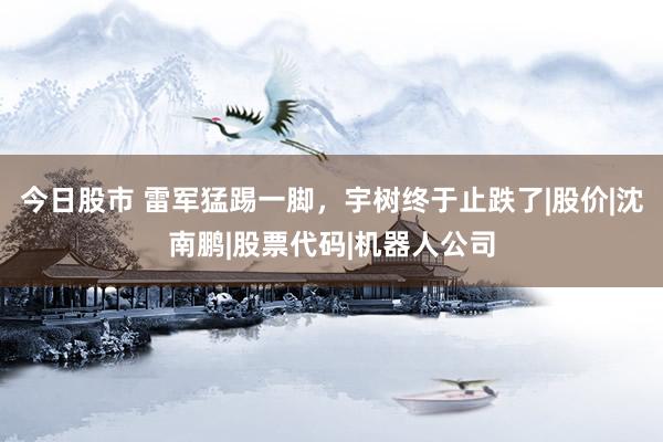 今日股市 雷军猛踢一脚,宇树终于止跌了|股价|沈南鹏|股票代码|机器人公司