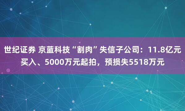 世纪证券 京蓝科技“割肉”失信子公司：11.8亿元买入、5000万元起拍，预损失5518万元