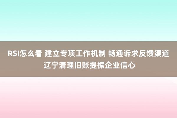 RSI怎么看 建立专项工作机制 畅通诉求反馈渠道 辽宁清理旧账提振企业信心