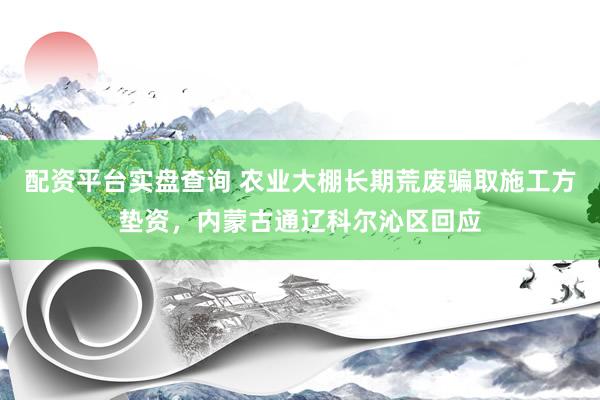 配资平台实盘查询 农业大棚长期荒废骗取施工方垫资，内蒙古通辽科尔沁区回应