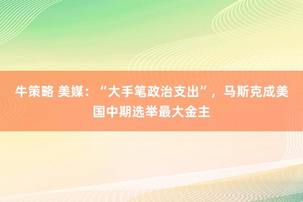 牛策略 美媒：“大手笔政治支出”，马斯克成美国中期选举最大金主