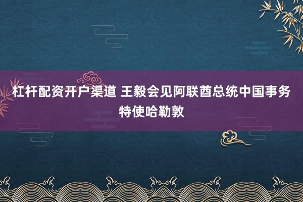 杠杆配资开户渠道 王毅会见阿联酋总统中国事务特使哈勒敦