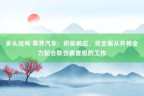 多头结构 尊界汽车：积极响应、完全服从并将全力配合联合调查组的工作