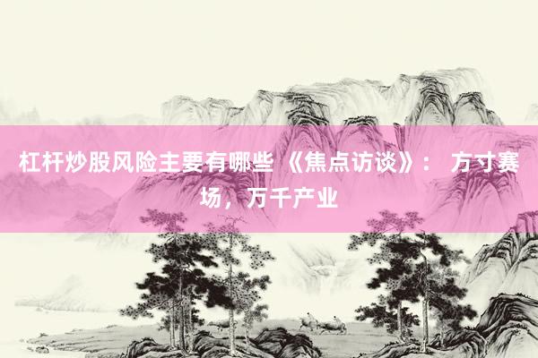 杠杆炒股风险主要有哪些 《焦点访谈》： 方寸赛场，万千产业